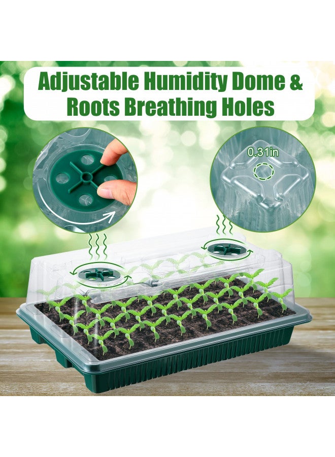 Saillong Saillong 2 Packs Seed Starter Tray with Grow Light High Dome Seed Germination Kit 80 Cells with 4 LED Grow Lights Seedling Starter Kit with Smart Timer and 3 Modes for Home Gardeners, Greenhouse  - Image 3