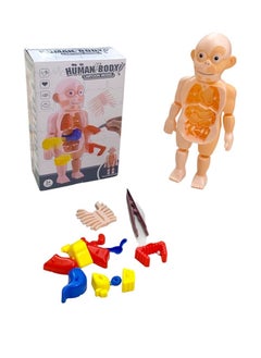 Children's toy, W57-50 human body toy from Al Safwa Toys