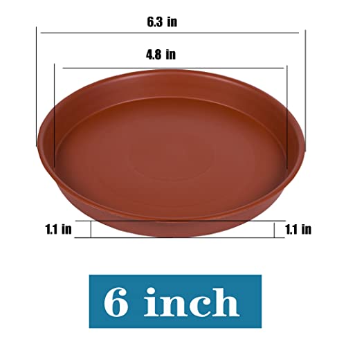 Bleuhome 6 Pack of 6 inch Plant Saucer, 4 6 8 10 12 14 16 inch Plant Saucers, Heavy Duty Plastic Plant Water Tray, Planter Drip Trays for Pot, Flower Saucers for Indoors (6 inch, Terracotta) - Image 2