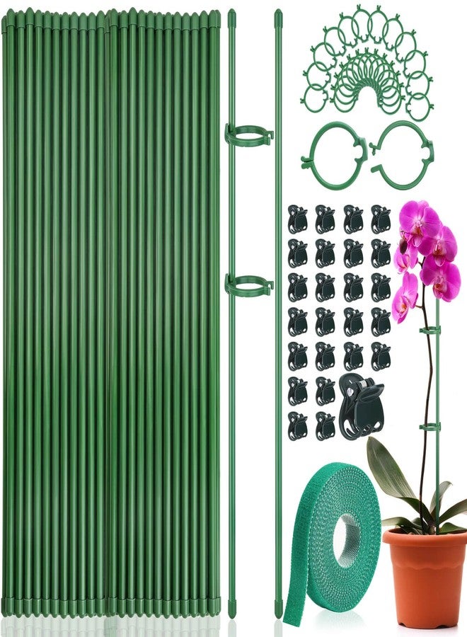 Tetutor 25 Pack Plant Stakes for Indoor Plants, 16 inch Plant Support Stakes, Fiberglass Garden Plant Sticks Support with Rings Clips &Tie for Indoor and Outdoor Plants Flowers Tomatoes Orchid Rose - Image 1