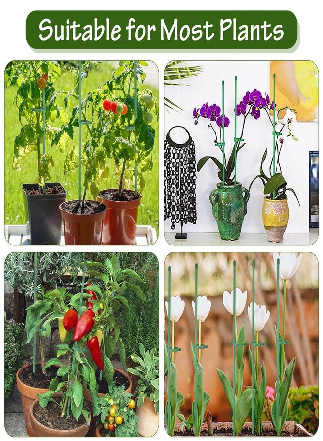 Tetutor 25 Pack Plant Stakes for Indoor Plants, 16 inch Plant Support Stakes, Fiberglass Garden Plant Sticks Support with Rings Clips &Tie for Indoor and Outdoor Plants Flowers Tomatoes Orchid Rose - Image 4