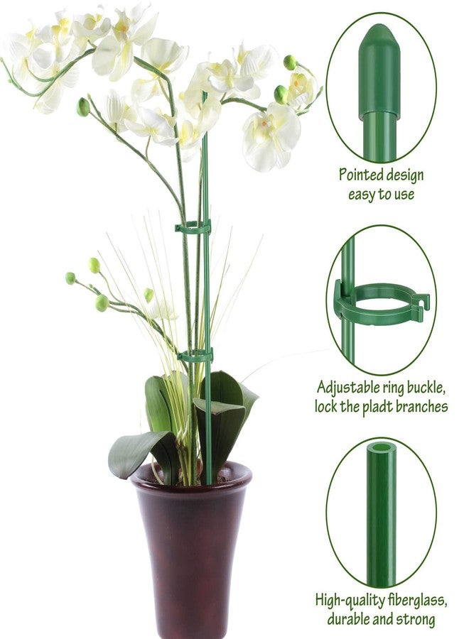 Tetutor 25 Pack Plant Stakes for Indoor Plants, 16 inch Plant Support Stakes, Fiberglass Garden Plant Sticks Support with Rings Clips &Tie for Indoor and Outdoor Plants Flowers Tomatoes Orchid Rose - Image 5