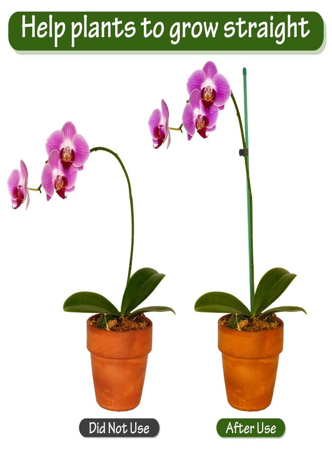 Tetutor 25 Pack Plant Stakes for Indoor Plants, 16 inch Plant Support Stakes, Fiberglass Garden Plant Sticks Support with Rings Clips &Tie for Indoor and Outdoor Plants Flowers Tomatoes Orchid Rose - Image 3