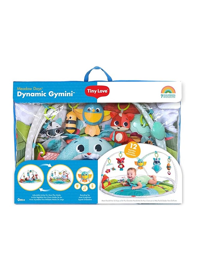 Tiny Love Dynamic Gymini - Meadow Days  - Image 4