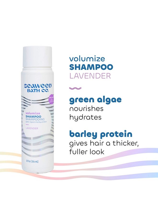 Seaweed Bath Co. Volumize Shampoo Lavender Scent 12 Ounce Sustainably Harvested Seaweed Green Algae Barley Protein For Normal To Fine Hair - pzsku/Z4F9C1A1564D8CEF0EFD9Z/45/_/1696662268/02ac3f32-8137-4bda-b1c2-b00011fe8d42