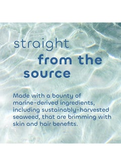 The Seaweed Bath Co. Seaweed Bath Co. Volumize Shampoo Lavender Scent 12 Ounce Sustainably Harvested Seaweed Green Algae Barley Protein For Normal To Fine Hair  - Image 5