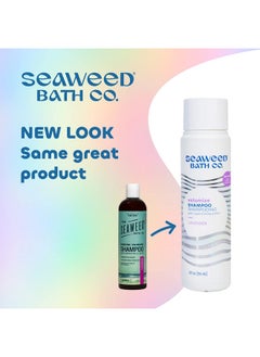 The Seaweed Bath Co. Seaweed Bath Co. Volumize Shampoo Lavender Scent 12 Ounce Sustainably Harvested Seaweed Green Algae Barley Protein For Normal To Fine Hair  - Image 3