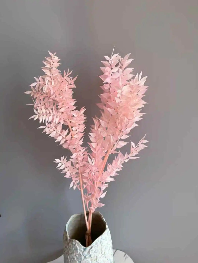 Y&D Dried Ruscus Leaves Bouquet - Natural Dried Flowers Arrangement for Wedding, Mother's Day, Christmas Decor, Home & Party Decorations, Dried Plants Included - Image 5
