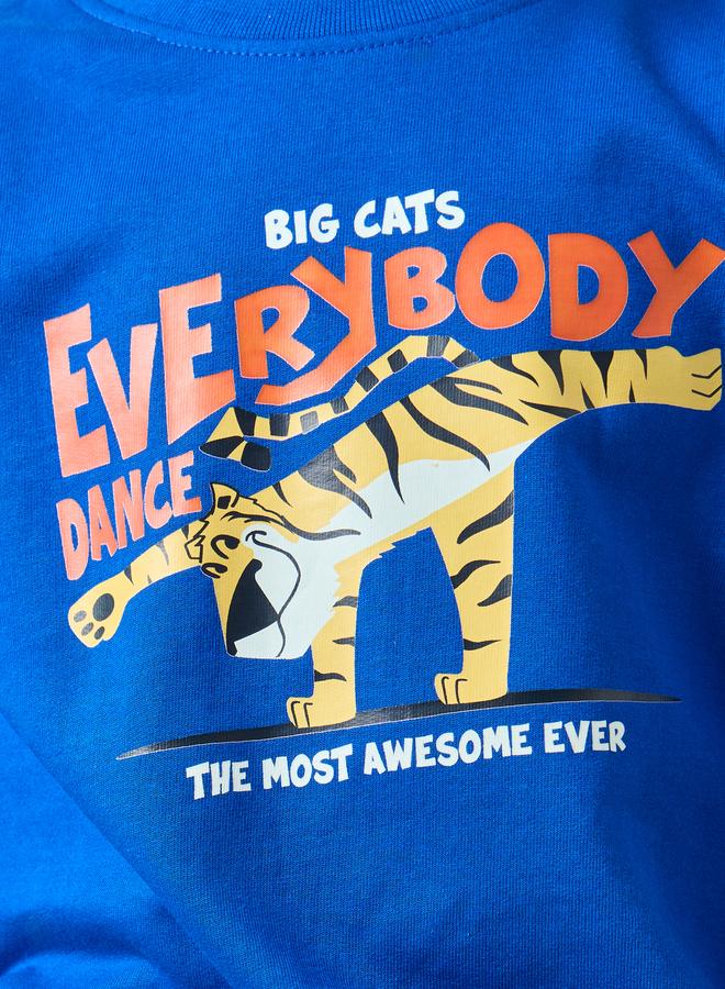 Styli Boys Blue Tiger Graphic Sweatshirt - Image 4