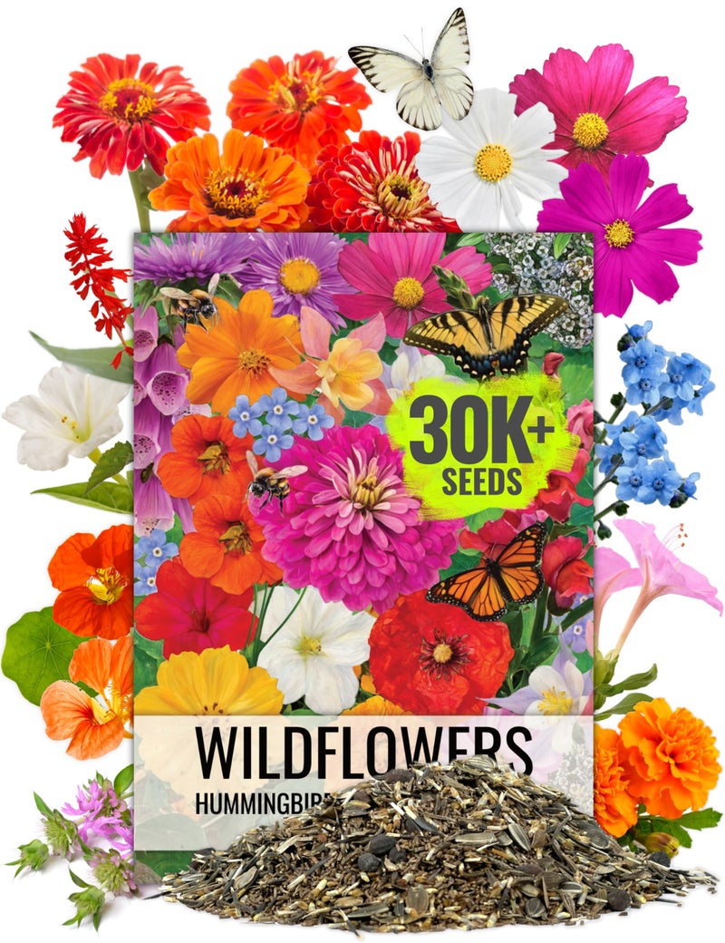 Seed Needs Wildflower Seeds Butterfly and Hummingbird Seed Mix 2 Ounce No Filler | 23 Varieties Annual & Perennial Species Such as Butterfly Milkweed, Cosmos & Zinnia | Resealable Bulk Package - Image 1