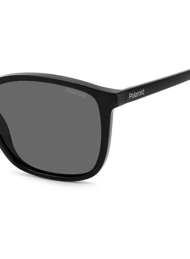 Polaroid  Wayfarers Sunglasses for Men | Best Price UAE