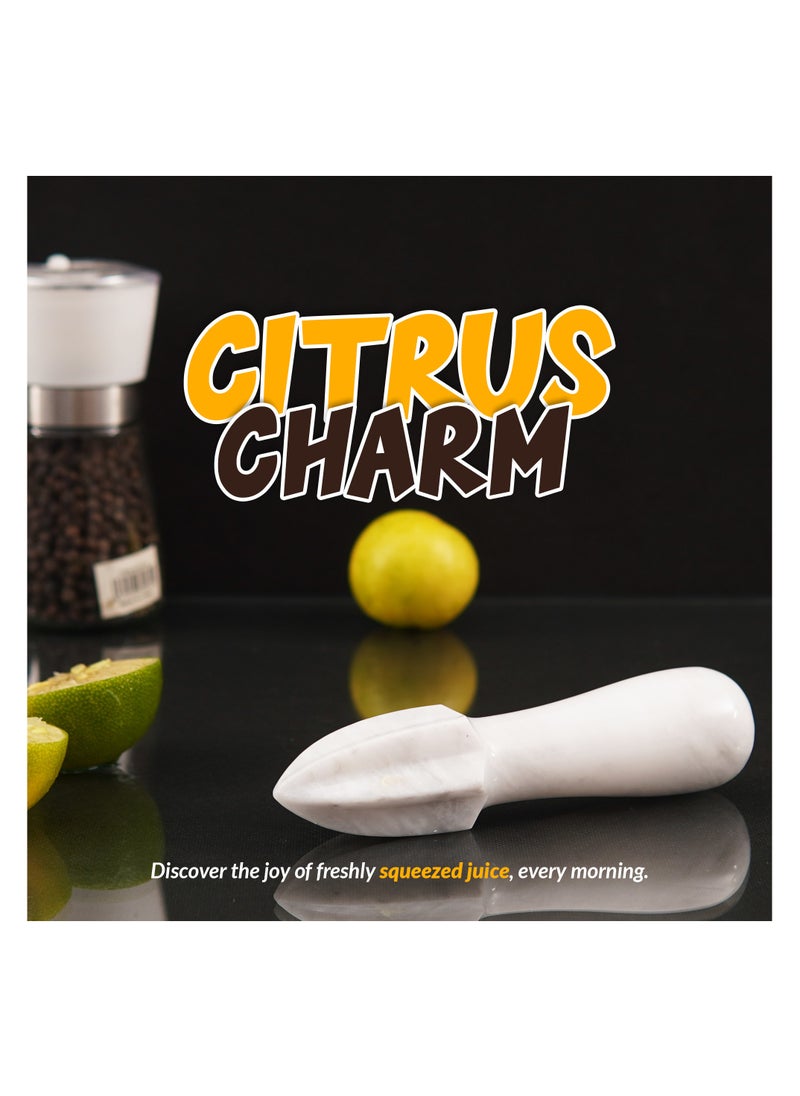 RADICALn Marble Citrus Reamer 6'' Inches White Handmade Juice Reamer - Citrus Juicer Reamer, Lemon Reamer, Grapefruit Juicer Manual, Citrus Reamer Handheld Lime Squeezer - Lemon Juicer Reamer  - Image 5