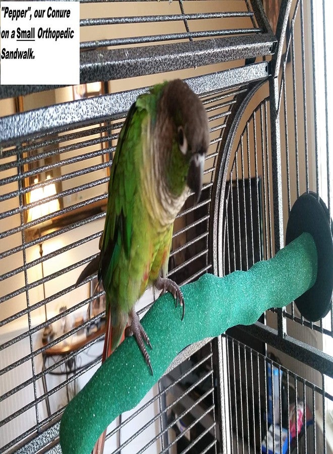 Polly's Sand Walk Orthopedic Bird Perch, Medium - Image 2