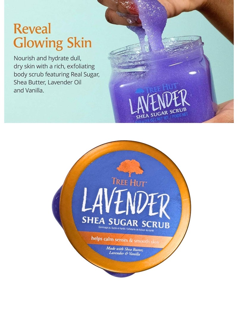 تري هت مقشر سكر الشيا، لافندر، 510 جرام | مقشر للجسم بزبدة الشيا والزيوت الطبيعية | علاج عطري مريح برائحة اللافندر | تقشير عميق وترطيب فائق - Image 3