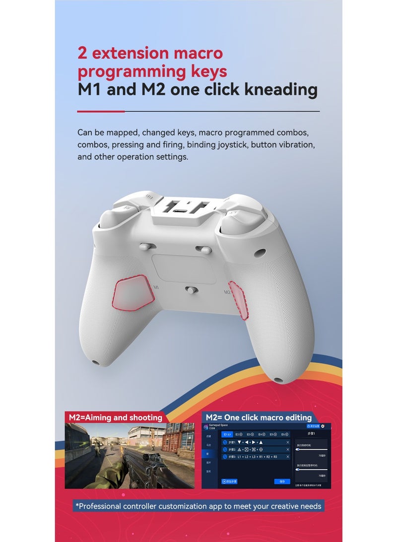 BSP Classic Gamepad Z03 2.4G Receiver Wireless Game Controller for iOS, Android, Windows, Mac, Switch, PS Remote Play, Xbox Cloud, Steam Link, GeForce Now, MFi Arcade Games, Cloud Gaming with Hall Joystick, Hall Linear Trigger & Micro Triggers, Macro Programming Back Keys, Six-Axis Gyroscope, Adjustable HD Dual Vibration Motors, AUTO One-Click Burst, 800Hz Report Rate - Image 5