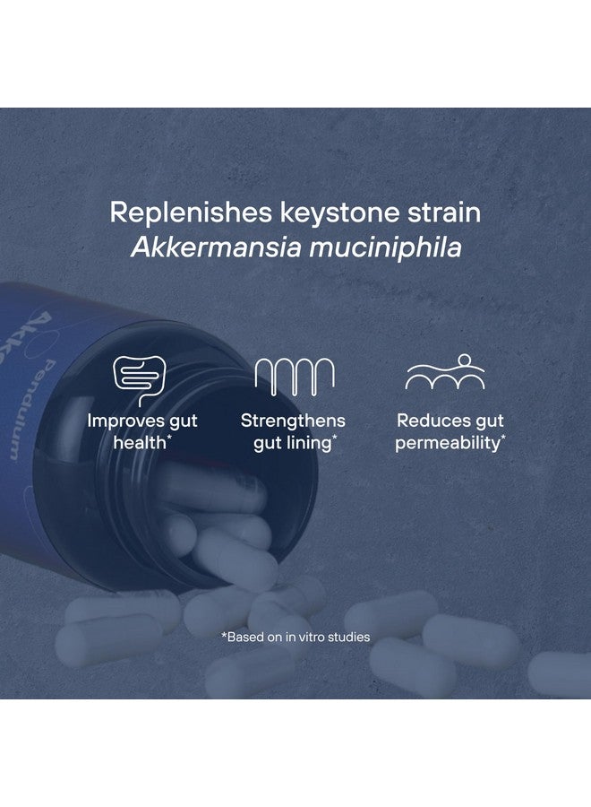 البندول بندول أكيرمانسيا بروبيوتيك مع ألياف بريبيوتيك - يزيد من إنتاج GLP-1، إطلاق متأخر، تم اختباره من قبل جهة خارجية، 100 مليون وحدة استقلابية من السلالة الحية لصحة الأمعاء للرجال والنساء (30 كبسولة، عبوة واحدة) - Image 3