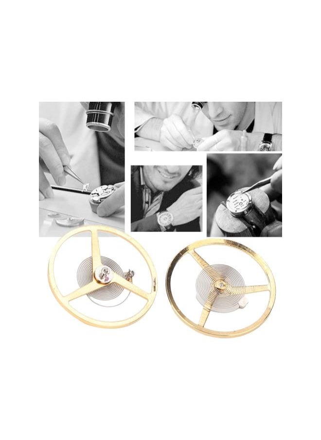 WYBOT - Watch Balance Wheel Spring, Movement Parts Accessories Balance Wheel Fit for ETA 2824 2834 2836 Watch Movement Repair (Plastic Box Package) - Image 1