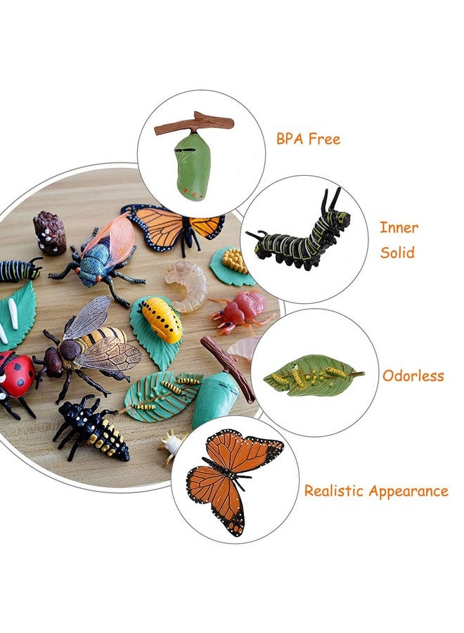 JOKFEICE 13pcs Insect Toys Life Cycle of Butterfly, Honey Bee & Frog Action Model, Plastic Bug Figurines, Early Educational Toys, Science Project, Christmas Birthday Gift for Kids - Image 4