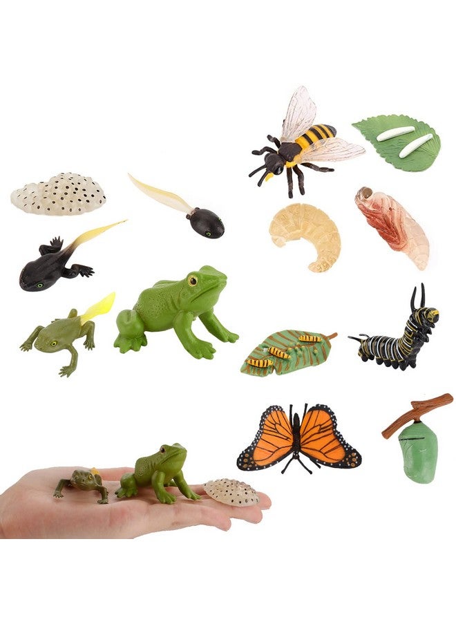 JOKFEICE 13pcs Insect Toys Life Cycle of Butterfly, Honey Bee & Frog Action Model, Plastic Bug Figurines, Early Educational Toys, Science Project, Christmas Birthday Gift for Kids - Image 1