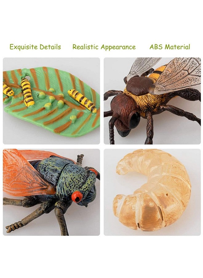 JOKFEICE 13pcs Insect Toys Life Cycle of Butterfly, Honey Bee & Frog Action Model, Plastic Bug Figurines, Early Educational Toys, Science Project, Christmas Birthday Gift for Kids - Image 5