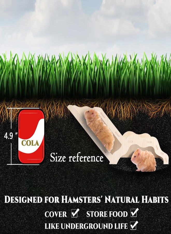 kcrygogo Small Size Hamster Explorer Set - Snap-Together Wooden Burrow with Panoramic Window, Natural Chew-Safe Design & Underground Activity Viewer for Cage Enrichment - Image 5