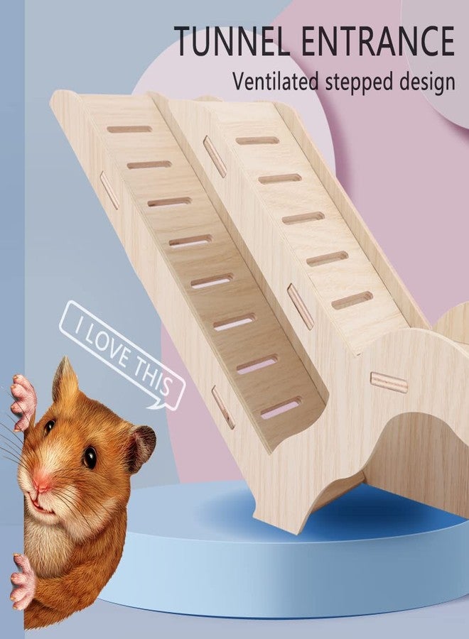 kcrygogo Small Size Hamster Explorer Set - Snap-Together Wooden Burrow with Panoramic Window, Natural Chew-Safe Design & Underground Activity Viewer for Cage Enrichment - Image 3