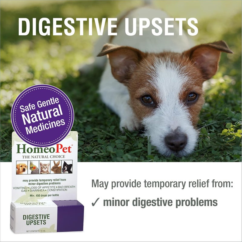 HomeoPet Digestive Upsets for Pets - Natural Homeopathic Relief for Digestive Issues in Dogs, Cats, and Small Animals - Image 2