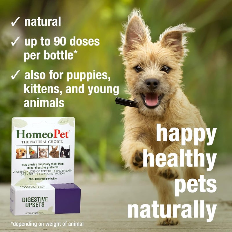 HomeoPet Digestive Upsets for Pets - Natural Homeopathic Relief for Digestive Issues in Dogs, Cats, and Small Animals - Image 4