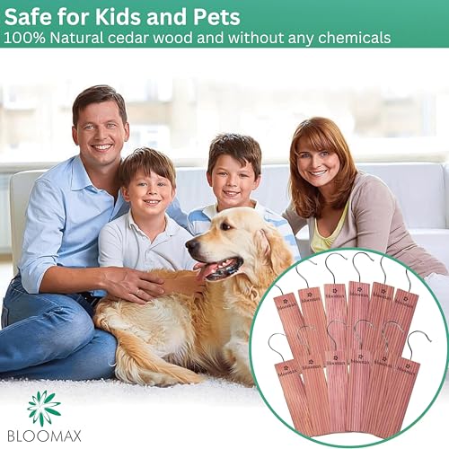 BLOOMAX® Cedar Blocks – Moth Repellent – Pack of 40 - Image 4