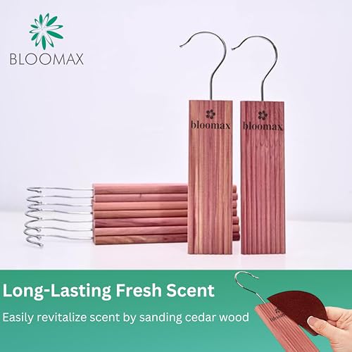 BLOOMAX® Cedar Blocks – Moth Repellent – Pack of 40 - Image 3