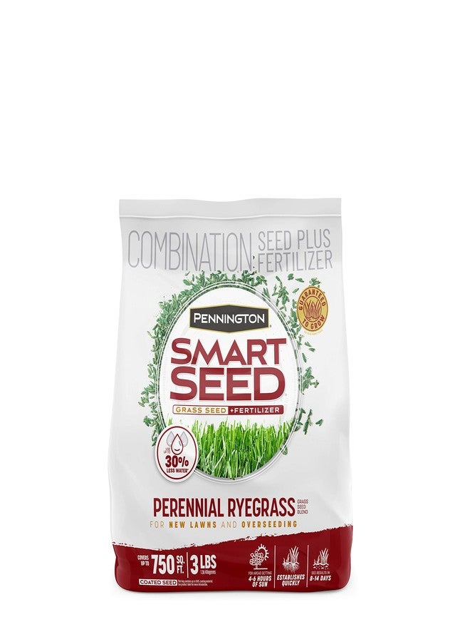 Pennington 100543717 Smart Seed Perennial Ryegrass 3 lb, Black Label - Image 1