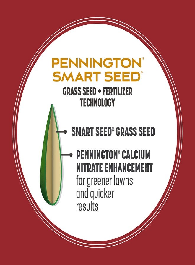 Pennington 100543717 Smart Seed Perennial Ryegrass 3 lb, Black Label - Image 4