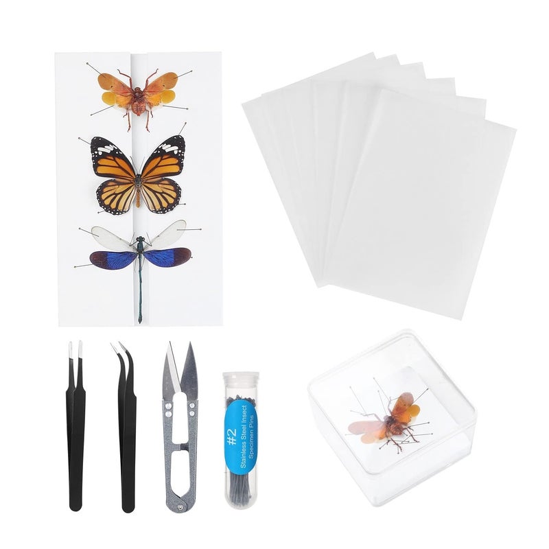 Asablve Making Insect Specimen Tools Kit Insect PinsInsect Pinning Board Wings Pressing PaperTweezers Scissors Insect Display Case Insect Collection for Bug HobbyistBiology Projects - Image 2