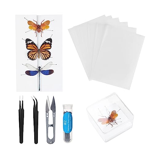 Asablve Making Insect Specimen Tools Kit Insect PinsInsect Pinning Board Wings Pressing PaperTweezers Scissors Insect Display Case Insect Collection for Bug HobbyistBiology Projects - Image 1