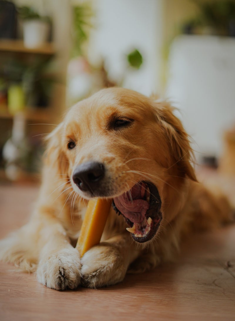 PUPRAZY Himalayan Chews - Natural Yak Cheese - Image 2