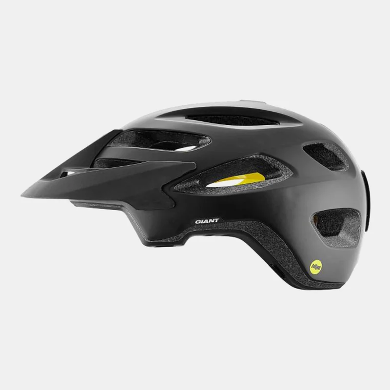 Giant Roost MIPS Helmet