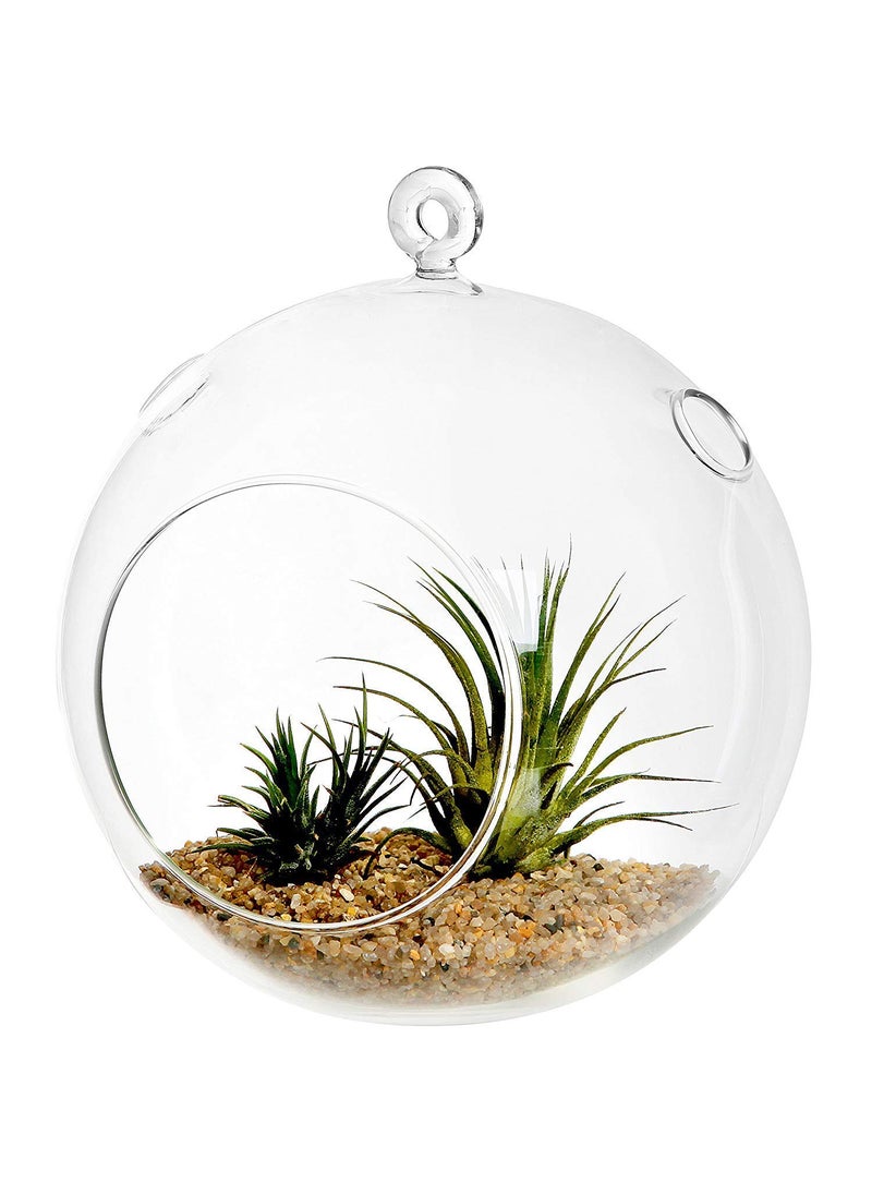 ESPLANADE eSplanade Glass Hanging Planters Tealight Holders Set of 2 for Home Decor Garden Office 45 x 4 Inches  - Image 1