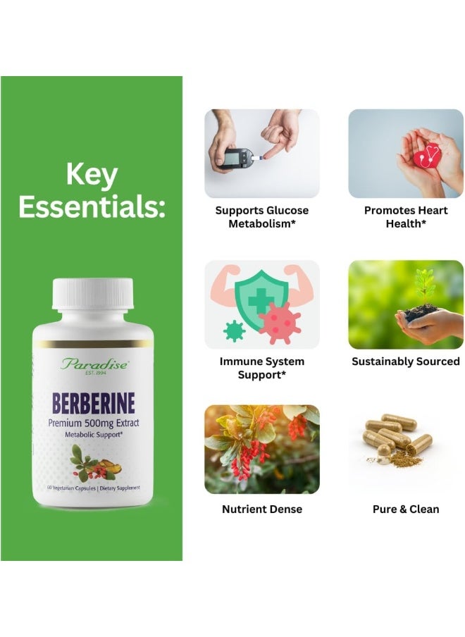 Paradise Herbs Paradise Herbs Berberine Plant Active Extract 60 Vegetarian Capsules  - Image 2