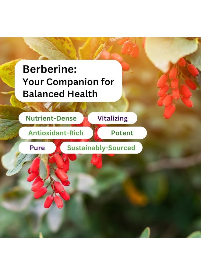 Paradise Herbs Paradise Herbs Berberine Plant Active Extract 60 Vegetarian Capsules  - Image 5