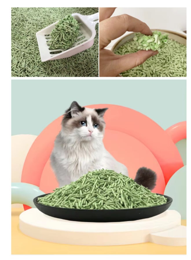 TaoTaoPets 2 Packs Upgrade Tofu Litter,Ultra Absorbent , Dust-Free, Less Scattering 6L (Greentea scent) - Image 2