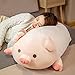 lannery Pig Stuffed Animal Hugging Pillow Soft Fat Pig Plush Toy Gifts for Kids Valentine Christmas Round Eyes 315 - Image 4