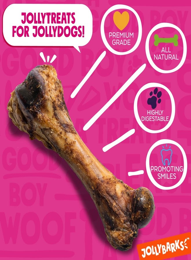 Jolly Barks 8" Pork Femur Bones for Dogs (3 Pack), Big Bones for Large Dogs, Gourmet Ham Beef Bone for Agressive Chewers - Image 3