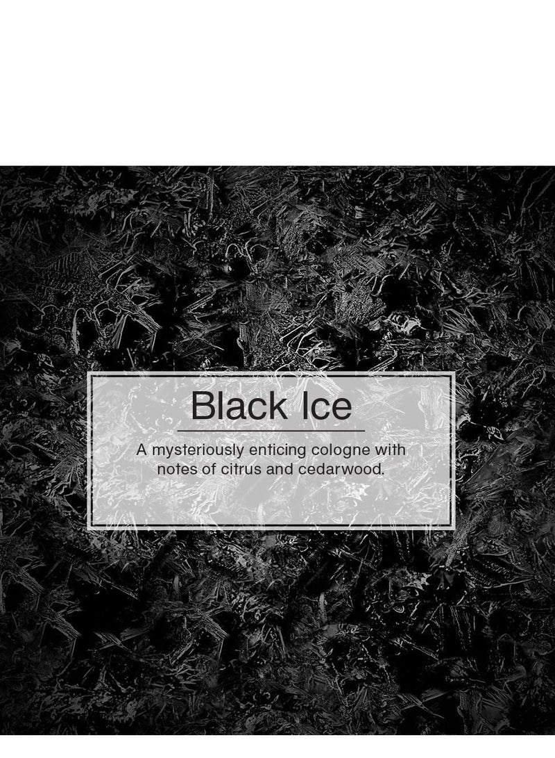 ليتل تريز معطر ليتل تري ك - بلاك ايس - Image 2