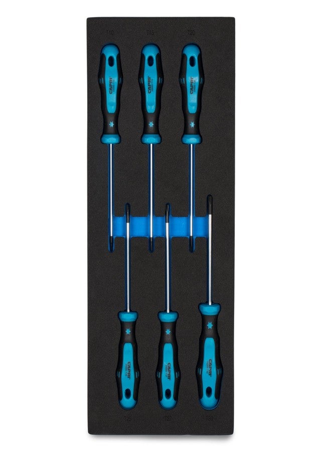 Capri Tools Kontour Star Screwdriver Set, 6-Piece with The Mechanics Tray - Image 1