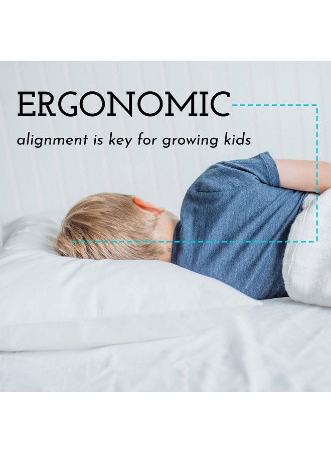 Little Sleepy Head - Toddler Pillow With Toddler Pillowcase Soft Hypoallergenic Best Pillow For Kids! Better Neck Support And Sleeping! Better Naps In Bed A Crib Or At School! Makes Travel Comfier! (White) - Image 1
