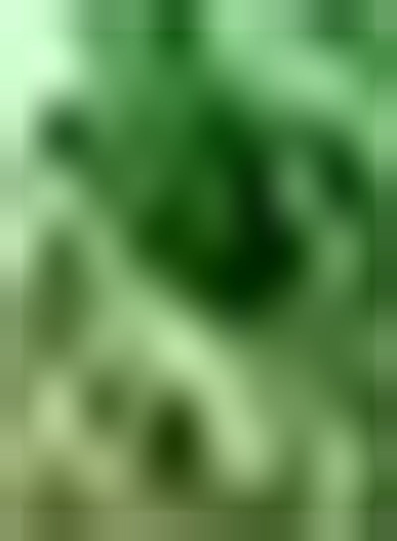 GGOOT 200pcs Chinese Leek Seeds Chive Fresh Vegetables for Outdoor Farm Garden Balcony Seed Planting Convenient Storage Long Economic Life - Image 1