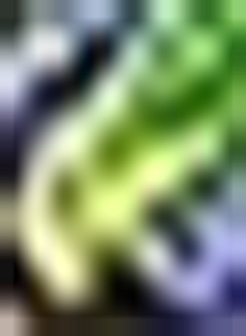 GGOOT 200pcs Chinese Leek Seeds Chive Fresh Vegetables for Outdoor Farm Garden Balcony Seed Planting Convenient Storage Long Economic Life - Image 2