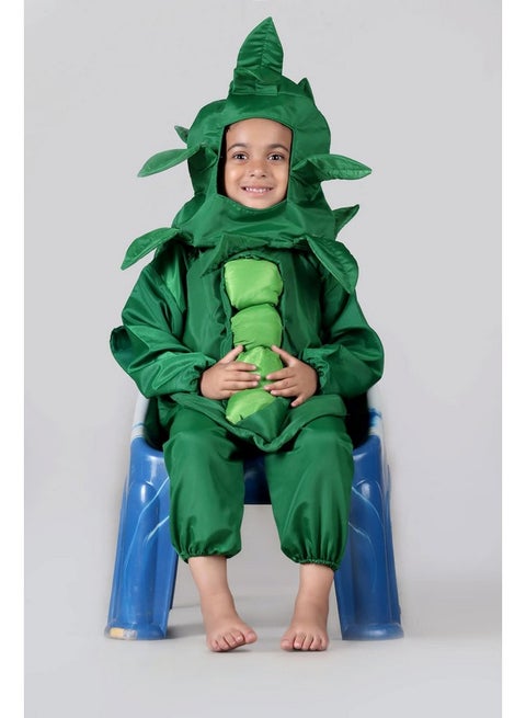 green peas fancy dress Prize Wining Fancy Dress Competition Costume for Nursery/KG kids| DIY fancy  dress costume Ideas 2025
