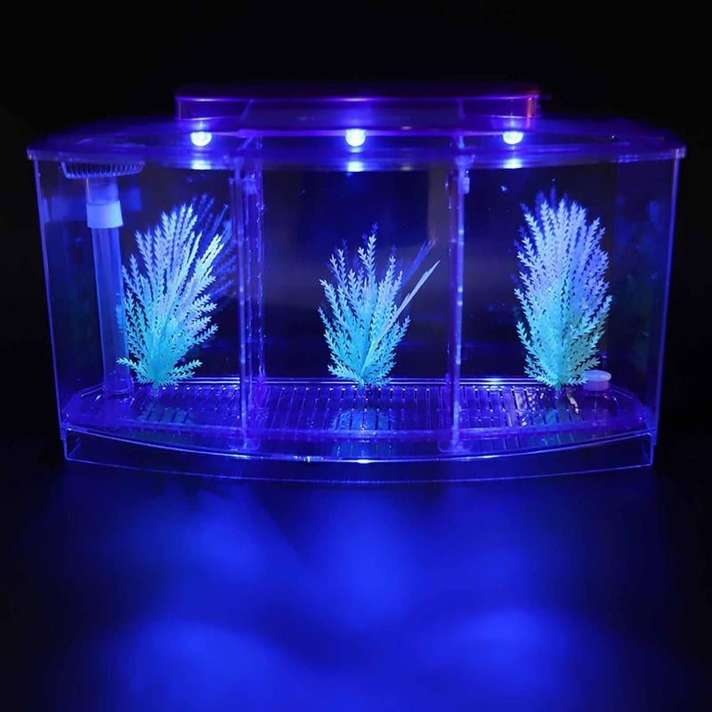 klarako Fish Tank, Desktop Transparent Breeding Fish Tank, Mini Acrylic for Small Fishes with LED Light with Water Change Valve for Betta(Purple) - Image 2
