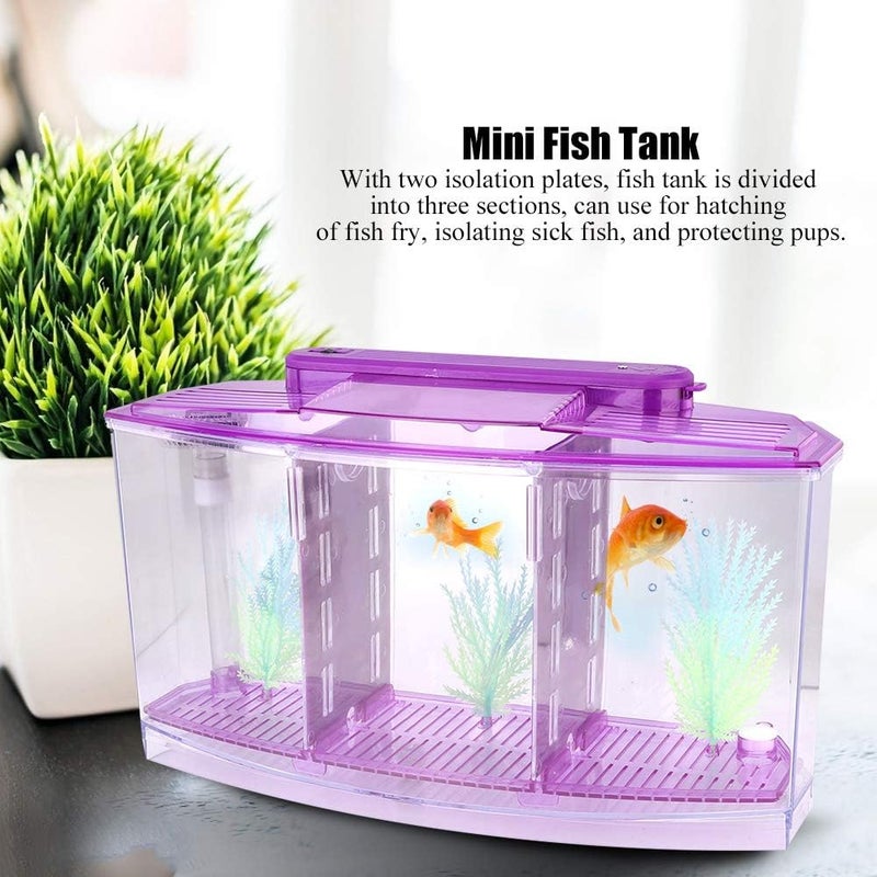 klarako Fish Tank, Desktop Transparent Breeding Fish Tank, Mini Acrylic for Small Fishes with LED Light with Water Change Valve for Betta(Purple) - Image 5